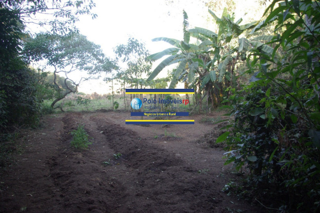 Imagem Imóvel com 1 Quarto à Venda, 19.700 m² em Campestre - Muzambinho Imagem Imóvel com 1 Quarto à Venda, 19.700 m² em Campestre - Muzambinho
