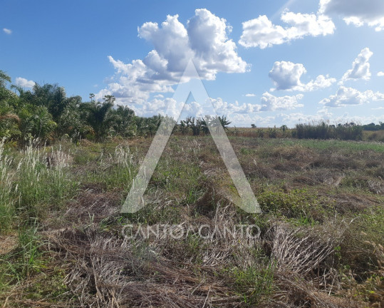 Imagem Imóvel com 1 Quarto à Venda, 9.600 m² em Comunidade Nossa Senhora De Fátima - Sinop Imagem Imóvel com 1 Quarto à Venda, 9.600 m² em Comunidade Nossa Senhora De Fátima - Sinop