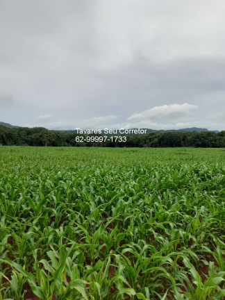 Imagem Imóvel à Venda, 23 m² em Zona Rural - Jaraguá Imagem Imóvel à Venda, 23 m² em Zona Rural - Jaraguá