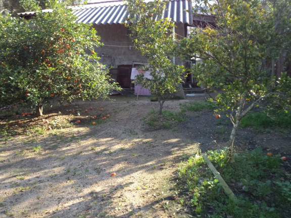 Imagem Casa com 3 Quartos à Venda, 120 m² em Lami - Porto Alegre