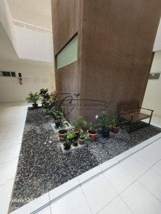 Imagem Apartamento com 3 Quartos à Venda, 70 m² em Nossa Senhora Da Conceição - Paulista