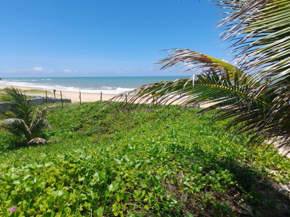 Imagem Terreno à Venda, 631 m² em Praia Do Sagi - Baía Formosa Imagem Terreno à Venda, 631 m² em Praia Do Sagi - Baía Formosa