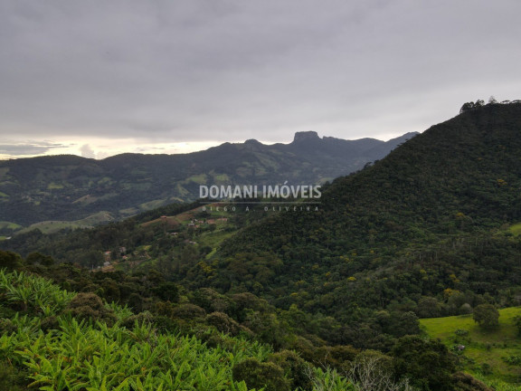 Imagem Terreno à Venda, 4.100 m² em Região Do Alpes De Campos Do Jordão - Campos Do Jordão Imagem Terreno à Venda, 4.100 m² em Região Do Alpes De Campos Do Jordão - Campos Do Jordão
