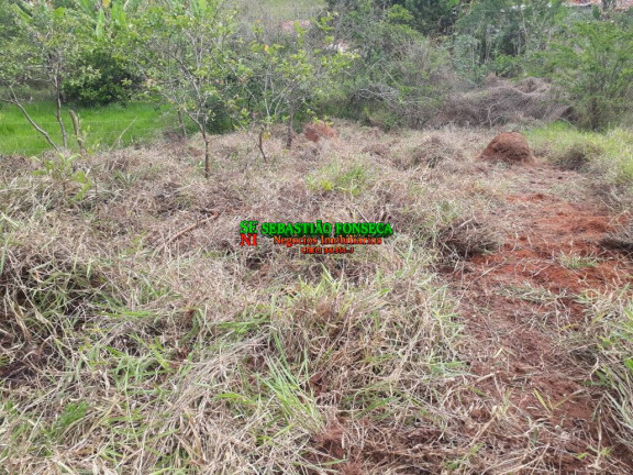 Imagem Chácara à Venda, 750 m² em Sob. Consulta - Paraibuna Imagem Chácara à Venda, 750 m² em Sob. Consulta - Paraibuna