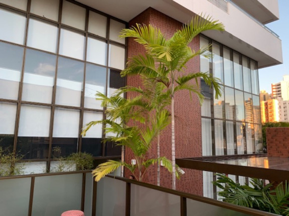 Imagem Imóvel com 4 Quartos à Venda, 193 m² em Barra - Salvador Imagem Imóvel com 4 Quartos à Venda, 193 m² em Barra - Salvador