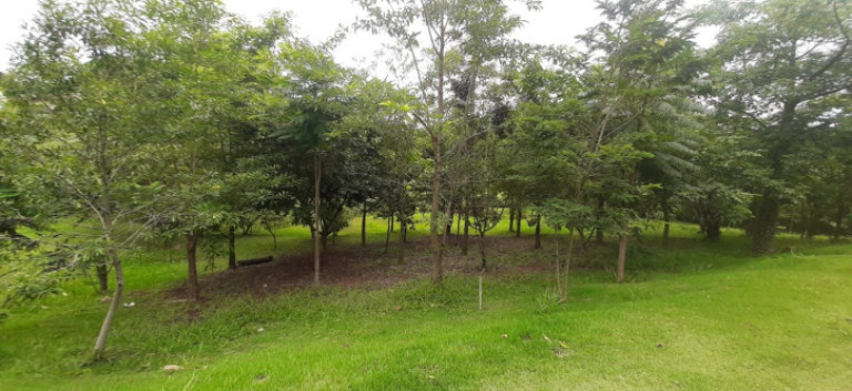 Imagem Terreno à Venda, 626 m² em Vila Mira - Atibaia Imagem Terreno à Venda, 626 m² em Vila Mira - Atibaia