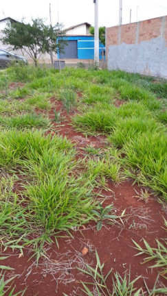 Imagem Terreno à Venda, 250 m² em Jardim Ferrari Ii - Pirassununga Imagem Terreno à Venda, 250 m² em Jardim Ferrari Ii - Pirassununga