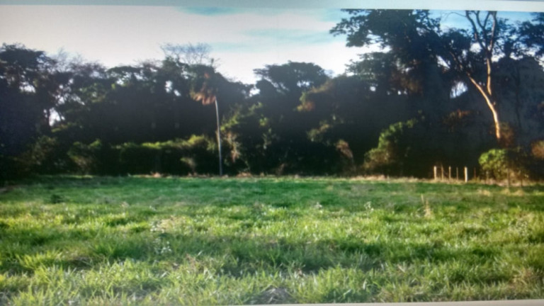Imagem Terreno à Venda, 1.247 m² em San Francisco - Arealva