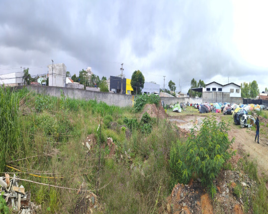 Imagem Terreno à Venda, 5.000 m² em Centro - Pinhais