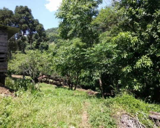 Imagem Imóvel com 4 Quartos à Venda, 88 m² em Vila Olinda - Nova Petrópolis Imagem Imóvel com 4 Quartos à Venda, 88 m² em Vila Olinda - Nova Petrópolis