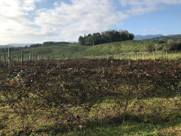Imagem Fazenda à Venda, 2.178.000 m² em Eldorado - São Paulo Imagem Fazenda à Venda, 2.178.000 m² em Eldorado - São Paulo