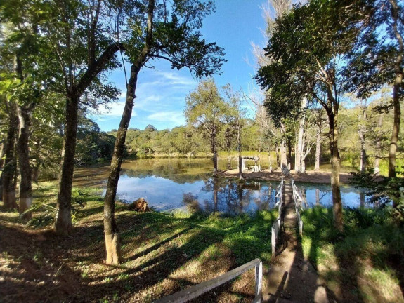 Imagem Chácara com 3 Quartos à Venda, 26.000 m² em Jardim Vista Alegre - Bragança Paulista Imagem Chácara com 3 Quartos à Venda, 26.000 m² em Jardim Vista Alegre - Bragança Paulista