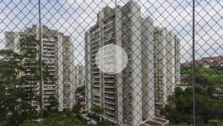 Imagem Apartamento com 4 Quartos à Venda, 142 m² em Vila Andrade - São Paulo Imagem Apartamento com 4 Quartos à Venda, 142 m² em Vila Andrade - São Paulo
