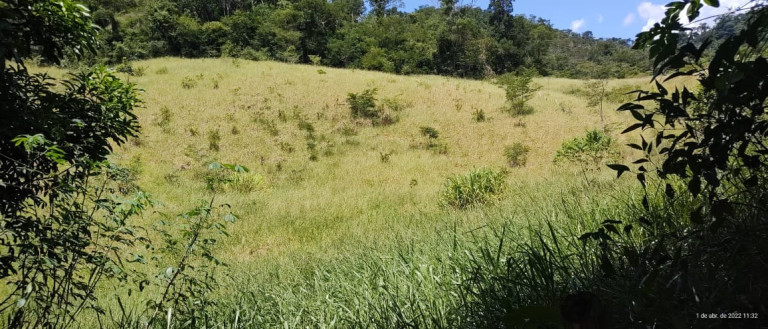 Imóvel com 2 Quartos à Venda, 45 m² em Zona Rural - Santa Leopoldina