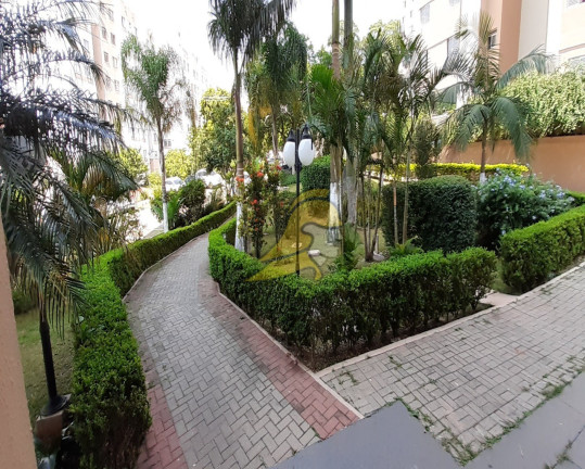 Imagem Apartamento com 3 Quartos à Venda, 65 m² em Jardim Jaqueline - São Paulo
