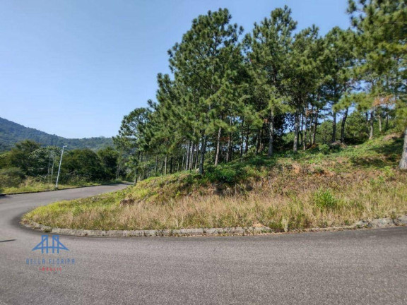 Imagem Terreno à Venda, 747 m² em Itacorubi - Florianópolis