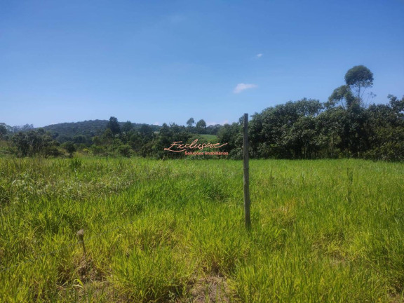 Imagem Terreno à Venda, 2.000 m² em Casarão Do Chá - Mogi Das Cruzes Imagem Terreno à Venda, 2.000 m² em Casarão Do Chá - Mogi Das Cruzes