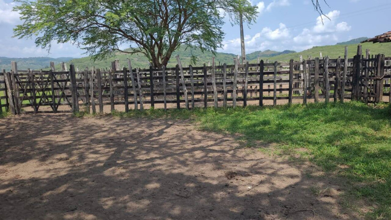 Imagem Chácara à Venda, em Belém Imagem Chácara à Venda, em Belém
