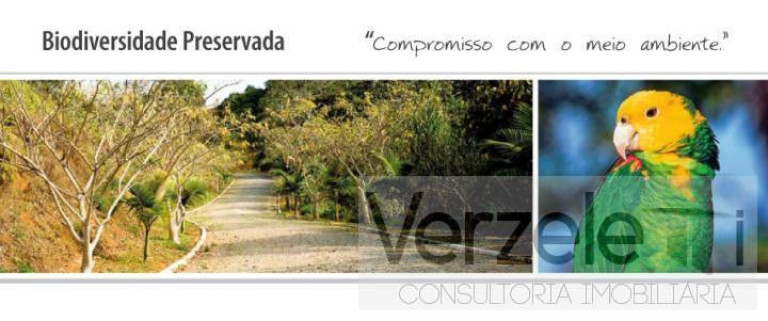 Imagem Terreno à Venda, 613 m² em Praia Brava De Itajaí - Itajaí Imagem Terreno à Venda, 613 m² em Praia Brava De Itajaí - Itajaí