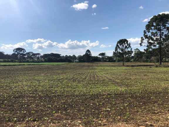 Imagem Fazenda à Venda, 19.400 m² em Tranqueira - Almirante Tamandare Imagem Fazenda à Venda, 19.400 m² em Tranqueira - Almirante Tamandare