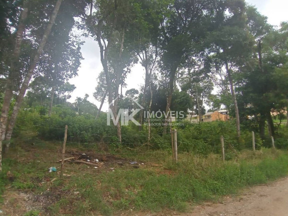 Imagem Terreno à Venda, 2.720 m² em Jardim Santa Helena - Piraquara Imagem Terreno à Venda, 2.720 m² em Jardim Santa Helena - Piraquara