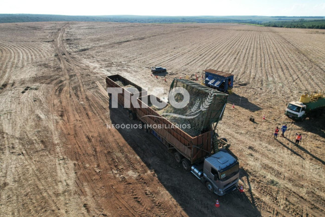 Imagem Fazenda à Venda, 90 m² em Zona Rural - Santa Rosa De Viterbo Imagem Fazenda à Venda, 90 m² em Zona Rural - Santa Rosa De Viterbo