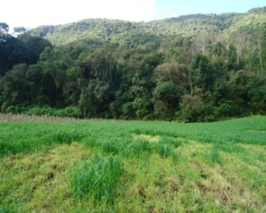 Imagem Terreno à Venda, 6 m² em São José Do Caí - Nova Petrópolis Imagem Terreno à Venda, 6 m² em São José Do Caí - Nova Petrópolis