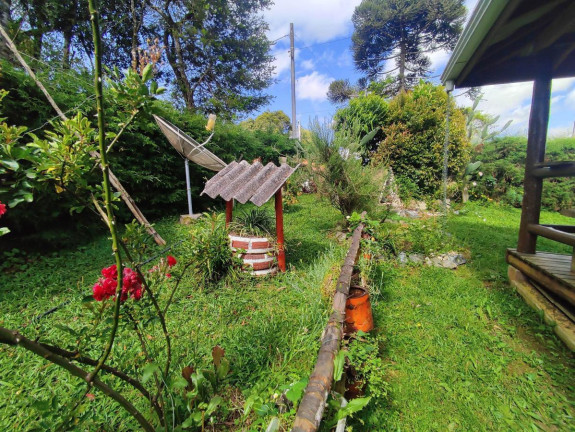 Imagem Chácara à Venda, 1.200 m² em Zona Rural - Tijucas Do Sul Imagem Chácara à Venda, 1.200 m² em Zona Rural - Tijucas Do Sul