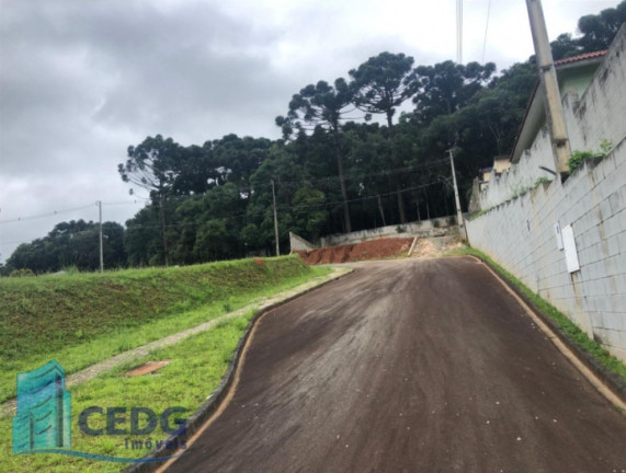 Imagem Terreno em Condomínio à Venda, 608 m² em Ferraria - Campo Largo