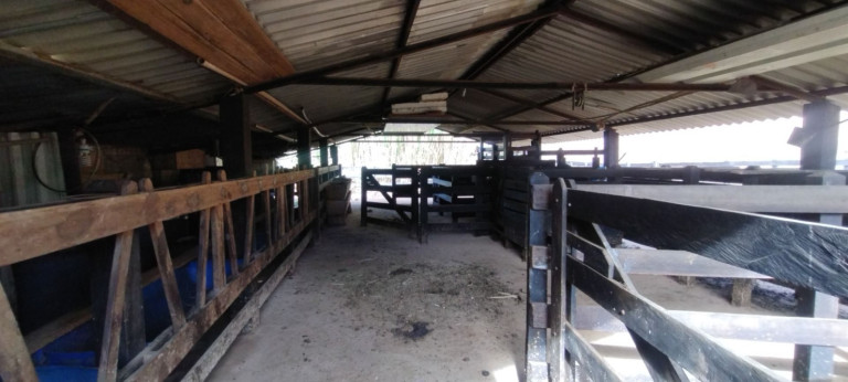 Imagem Chácara com 1 Quarto à Venda, 100 m² em Vila São José - Guaratinguetá Imagem Chácara com 1 Quarto à Venda, 100 m² em Vila São José - Guaratinguetá