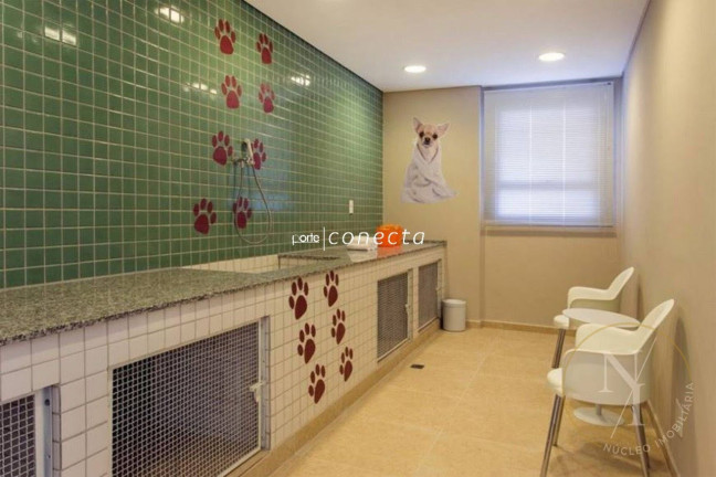Imagem Apartamento com 3 Quartos à Venda, 70 m² em Tatuapé - São Paulo Imagem Apartamento com 3 Quartos à Venda, 70 m² em Tatuapé - São Paulo