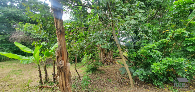 Imagem Casa com 6 Quartos à Venda, em São Gonçalo - Contagem Imagem Casa com 6 Quartos à Venda, em São Gonçalo - Contagem