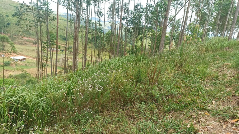 Imagem Chácara com 4 Quartos à Venda, 500 m² em Centro - Paraibuna Imagem Chácara com 4 Quartos à Venda, 500 m² em Centro - Paraibuna
