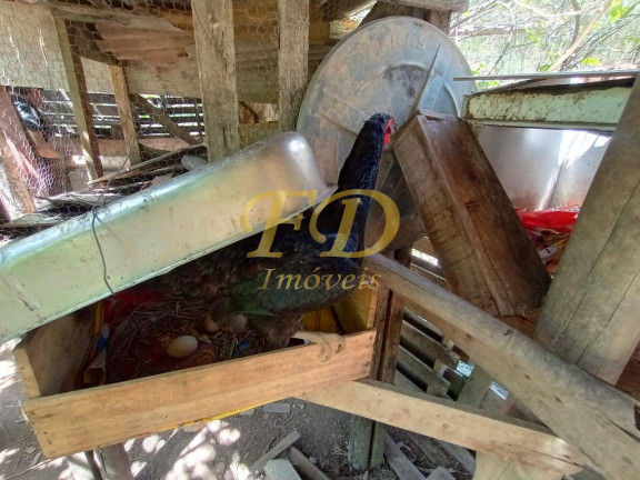 Imagem Chácara com 2 Quartos à Venda, 1.100 m² em Zona Rural Nazaré - Nazaré Paulista