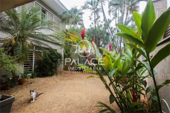 Imagem Imóvel com 4 Quartos à Venda, 300 m² em Jardim Europa - Piracicaba Imagem Imóvel com 4 Quartos à Venda, 300 m² em Jardim Europa - Piracicaba