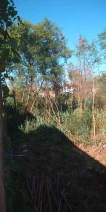 Imagem Terreno à Venda, 5.909 m² em Campo Grande - Rio De Janeiro Imagem Terreno à Venda, 5.909 m² em Campo Grande - Rio De Janeiro