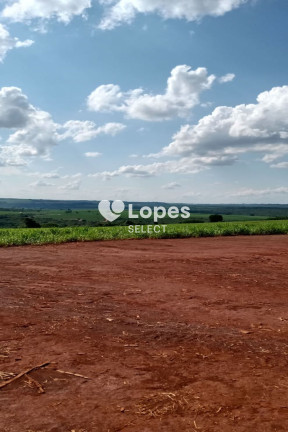Imagem Imóvel com 1 Quarto à Venda, 310 m² em área Rural De Ribeirão Preto - Ribeirão Preto Imagem Imóvel com 1 Quarto à Venda, 310 m² em área Rural De Ribeirão Preto - Ribeirão Preto