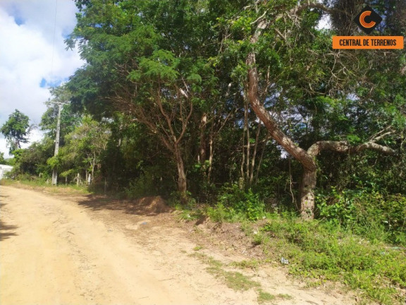 Imagem Terreno à Venda, 1.000 m² em Imbassaí - Mata De São João Imagem Terreno à Venda, 1.000 m² em Imbassaí - Mata De São João