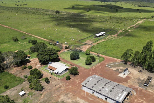Imagem Fazenda à Venda, 18.420.000 m² em Zona Rural - Darcinópolis Imagem Fazenda à Venda, 18.420.000 m² em Zona Rural - Darcinópolis