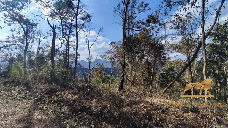 Imagem Terreno à Venda, 3.680 m² em Campos Do Jordão Imagem Terreno à Venda, 3.680 m² em Campos Do Jordão