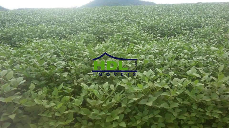 Imagem Fazenda à Venda, em Zona Rural - Confresa Imagem Fazenda à Venda, em Zona Rural - Confresa