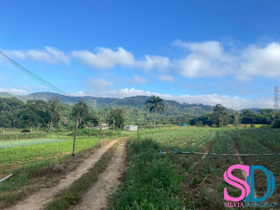 Imagem Fazenda à Venda, 194 m² em Vila Aparecida - Suzano