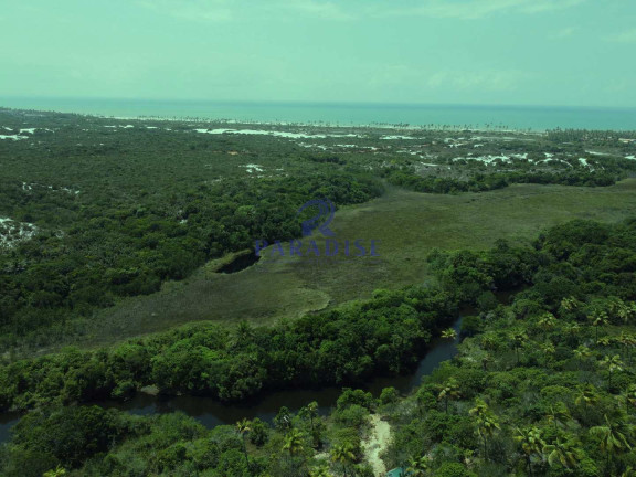 Imagem Terreno à Venda, 6.000 m² em Diogo - Mata De São João Imagem Terreno à Venda, 6.000 m² em Diogo - Mata De São João