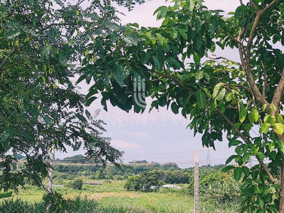 Imagem Terreno à Venda, 24.200 m² em Loteamento Universitário Das Américas - Foz Do Iguacu