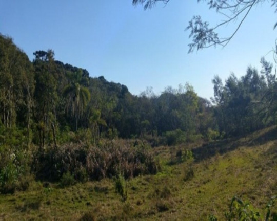 Imagem Terreno à Venda, 3 m² em Fazenda Pirajá - Nova Petrópolis Imagem Terreno à Venda, 3 m² em Fazenda Pirajá - Nova Petrópolis