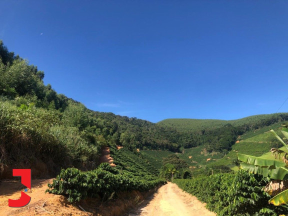 Imagem Fazenda à Venda, em Vale Taboca - Santa Teresa Imagem Fazenda à Venda, em Vale Taboca - Santa Teresa