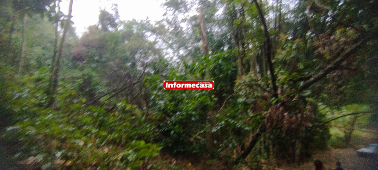 Imagem Imóvel com 3 Quartos à Venda, 70.000 m² em Pedra Lisa - Japeri