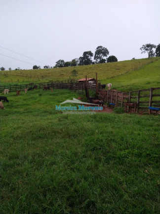 Imagem Imóvel com 1 Quarto à Venda, 11 m² em Zona Rural - Borda Da Mata