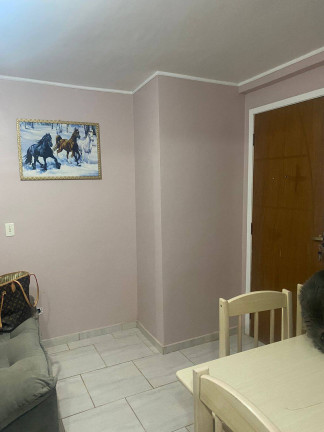 Imagem Apartamento com 2 Quartos à Venda, 43 m² em Rio Pequeno - São José Dos Pinhais