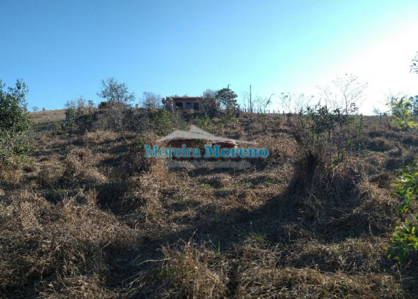 Imagem Imóvel com 2 Quartos à Venda, 7.000 m² em Zona Rural - Borda Da Mata